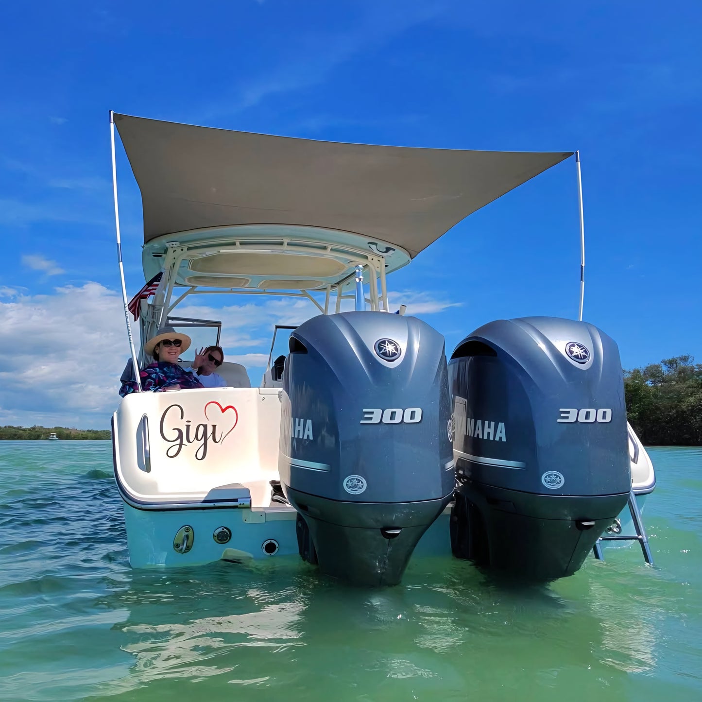 AFT-FireCarbon™ Sunshade Kit (Carbon Fiber Support Poles) by FirePole Marine