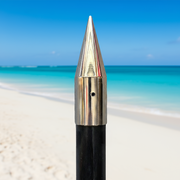 The FirePole™ Rescue Anchor- 1" Inch- 3-Piece 12' foot Shallow Water Anchor by FirePole Marine